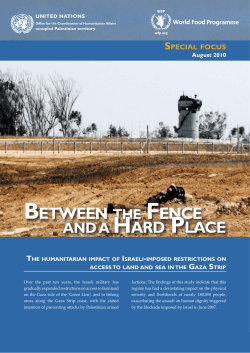between the fence