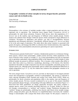 Geographic variation of colour morphs in tawny dragon lizards