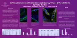 PA HIV-1 in Human Rectal Tissue