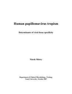 Human papillomavirus tropism Determinants of viral tissue