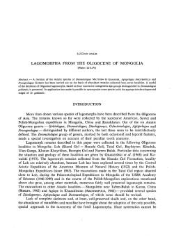 lagomorpha from the oligocene of mongolia