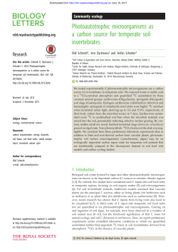 Photoautotrophic microorganisms as a carbon source for temperate