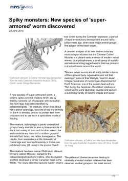 Spiky monsters: New species of `super