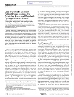 Are Oxidative Stress and Metabolic Dysregulation to Blame?