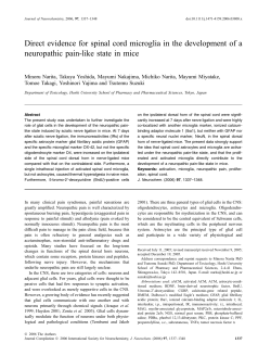 Direct evidence for spinal cord microglia in the development of a