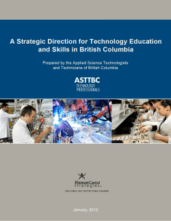 Strategic Directions for Technology Education and Skills in British