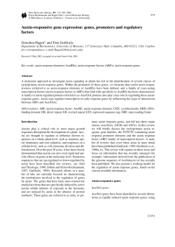 Auxin-responsive gene expression: genes, promoters and