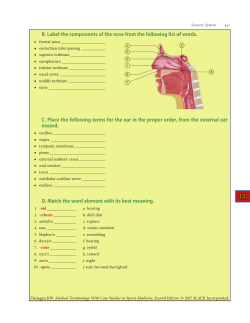 B. Label the components of the nose from the following list of words