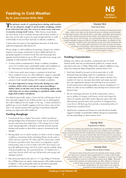 Feeding in Cold Weather - From Desk Of Dr John Kohnke