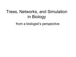 Simulation, Trees, and Networks