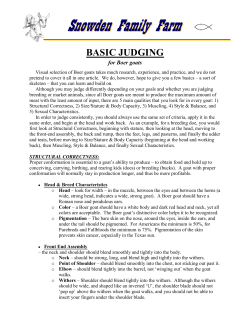 BASIC JUDGING