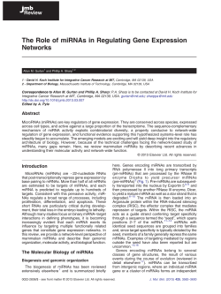 The Role of miRNAs in Regulating Gene Expression
