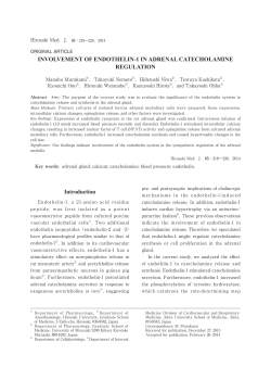 involvement of endothelin-1 in adrenal catecholamine regulation