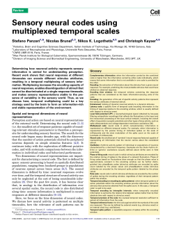 Sensory neural codes using multiplexed temporal scales