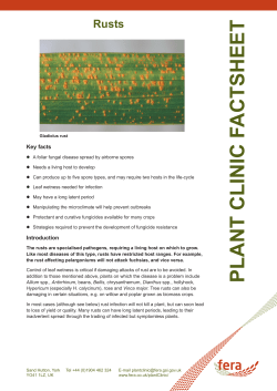 Rusts (2015) (PDF 1130KB)