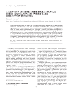 ANCIENT DNA CONFIRMS NATIVE ROCKY MOUNTAIN FISHER