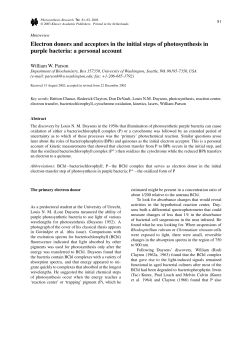 Electron donors and acceptors in the initial steps of photosynthesis