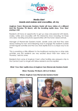 Lizards and snakes a Media Alert Lizards and snakes and