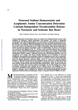 Neuronal Sodium Homoeostasis and Axoplasmic Amine