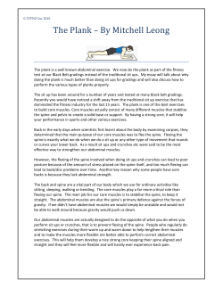 The Plank - ITKD.co.nz