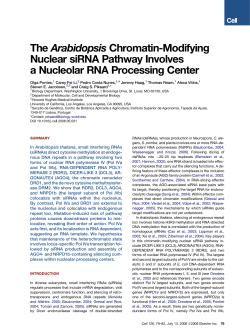 The Arabidopsis Chromatin-Modifying Nuclear siRNA Pathway