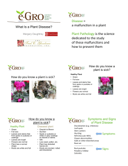 Disease = a malfunc.on in a plant Plant Pathology is the science