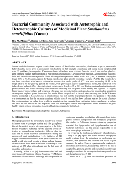 Bacterial Community Associated with Autotrophic