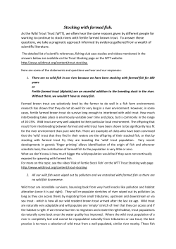 Here - The Wild Trout Trust