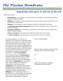 Cellular Transport Outreach Notes