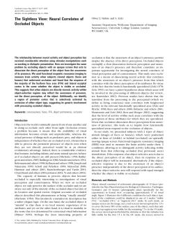 The Sightless View: Neural Correlates of Occluded Objects
