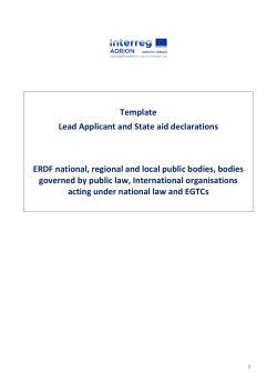 Lead Applicant declarations