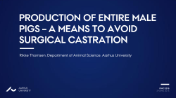 production of entire male pigs &ndash; a means to avoid surgical castration