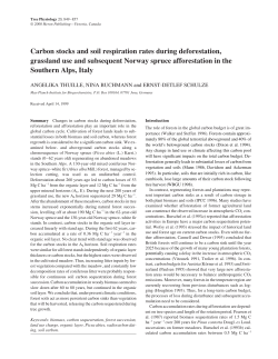 Carbon stocks and soil respiration rates during deforestation
