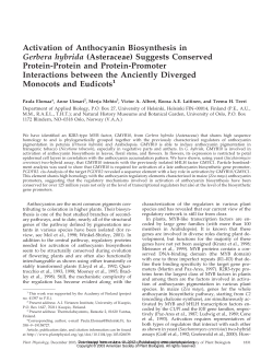 Activation of Anthocyanin Biosynthesis in Gerbera