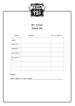 Mr Stink - Team TSI