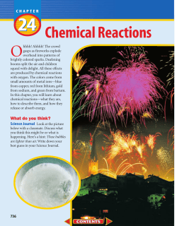 Chapter 24: Chemcial Reactions