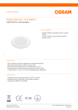 punctoled dl 23 w 4000 k