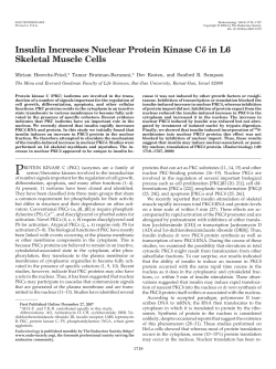 Insulin Increases Nuclear Protein Kinase C in L6 Skeletal Muscle Cells