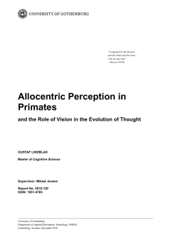 Allocentric Perception in Primates