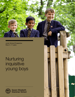 Nurturing inquisitive young boys