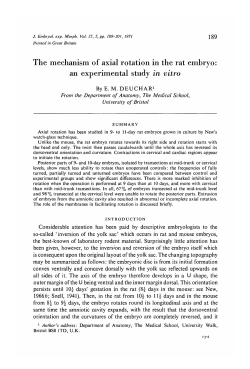 The mechanism of axial rotation in the rat embryo: an