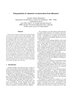Polygonization of volumetric reconstructions from silhouettes