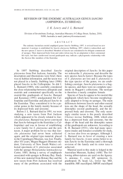 REVISION OF THE ENDEMIC AUSTRALIAN GENUS SANCHO
