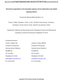 Hierarchical organization in the hemostatic response and its