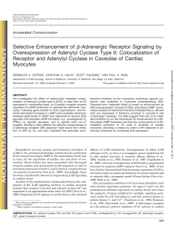 Selective Enhancement of -Adrenergic Receptor Signaling by