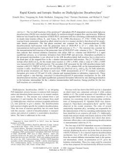 Rapid Kinetic and Isotopic Studies on Dialkylglycine Decarboxylase&dagger;