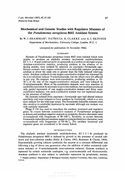 Biochemical and Genetic Studies with Regulator Mutants of the