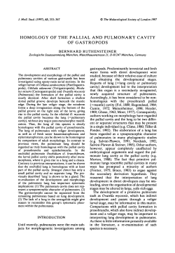 homology of the pallial and pulmonary cavity of gastropods