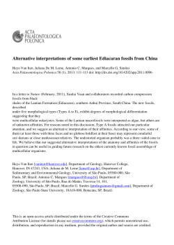 Alternative interpretations of some earliest Ediacaran fossils from