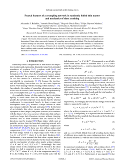 Fractal features of a crumpling network in randomly folded thin